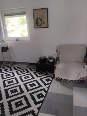 a living room with a chair and a rug at Villa Salter in Belgrade