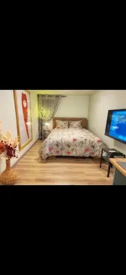 a bedroom with a bed and a desk with a computer at Lovely one bedroom apartment in Belgrade