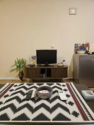 a living room with a television and a rug at Narnia in Belgrade