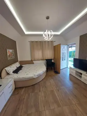 a bedroom with a large bed and a television at Sweet memories 2 in Žarkovo