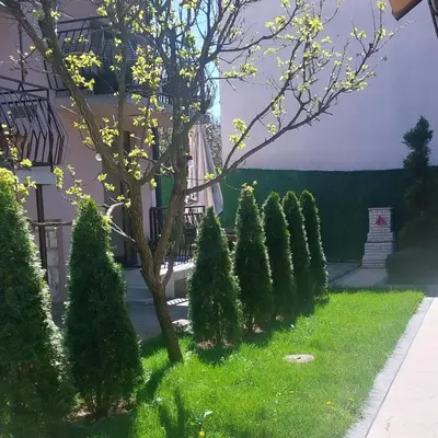a row of trees in a yard next to a building at Sweet memories 2 in Žarkovo