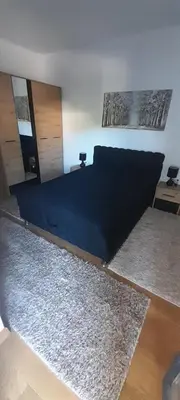 a bedroom with a bed and a rug at Elegance in Zemun