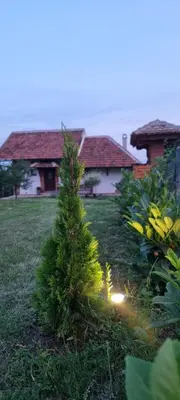 a small christmas tree in the yard of a house at NaVisu avlija in Kruševica
