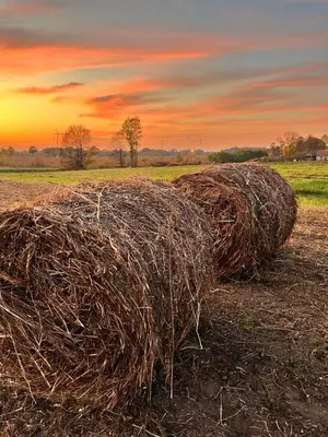 a stack of hay in a field at sunset at Čajića avlija in Obrenovac