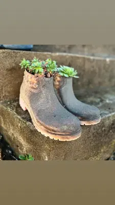 a pair of old boots with plants in them at Čajića avlija in Obrenovac