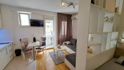 a small apartment with a living room and a kitchen at Maya 's home - Vracar in Vračar (historical)