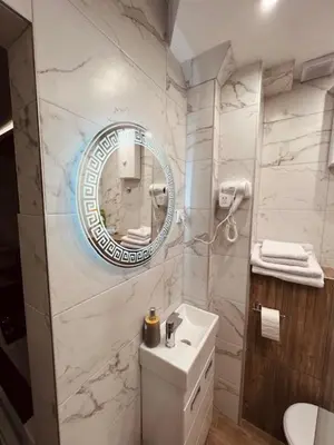 a bathroom with a toilet and a mirror on the wall at S class apartment in Novi Grad