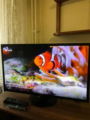 a computer monitor with a fish on top of a table at Maki NBG in Belgrade