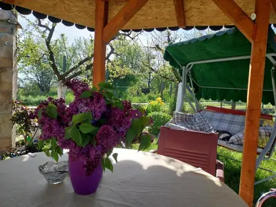 a vase of purple flowers sitting on a table at R&H apartmani in Slankamenački Vinogradi