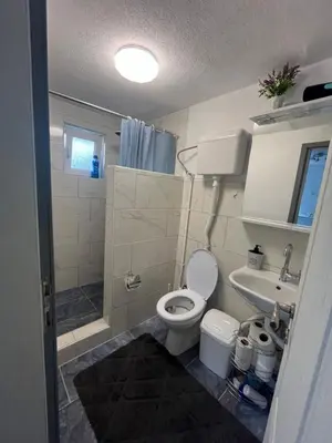 a bathroom with a toilet and a sink at R&H apartmani in Slankamenački Vinogradi