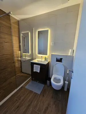 a bathroom with a toilet and a sink and a shower at K42 pool house in Vlasi