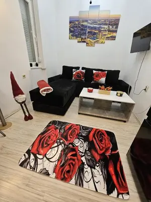 a living room with a black couch and red roses carpet at Alexis Apartman in Belgrade
