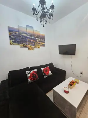 a living room with a black couch and a table at Alexis Apartman in Belgrade