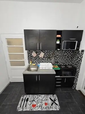 a small kitchen with a sink and a stove at Alexis Apartman in Belgrade