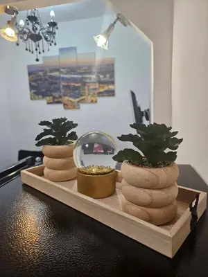 two potted plants on a wooden tray on a table at Alexis Apartman in Belgrade