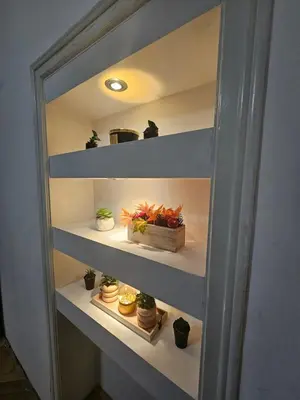 a shelf with potted plants in a room at Alexis Apartman in Belgrade
