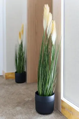 two plants in black pots sitting next to a wall at Move In Apartments - ApartHotel Belgrade in Belgrade