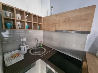 a small kitchen with a sink and a counter at Kaktus in Bežanija