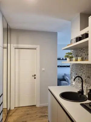 a kitchen with a white door and a sink at The nest 31 in Irig