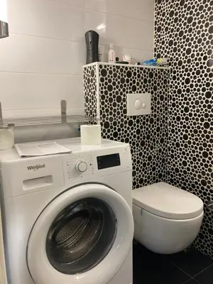 a bathroom with a washing machine and a toilet at Waterfront with free parking in Sajmište