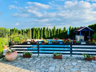 a garden with potted plants and a blue bench at Stone villa in Fruška gora in Irig