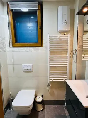 a bathroom with a toilet and a sink and a mirror at Stone villa in Fruška gora in Irig