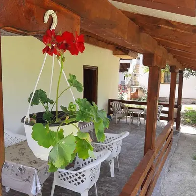 a porch with two potted plants and a flower at Cica Vintage Eco House Near Lake in Crkvine