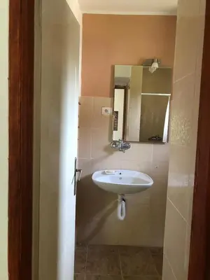 a bathroom with a sink and a mirror at Cica Vintage Eco House Near Lake in Crkvine