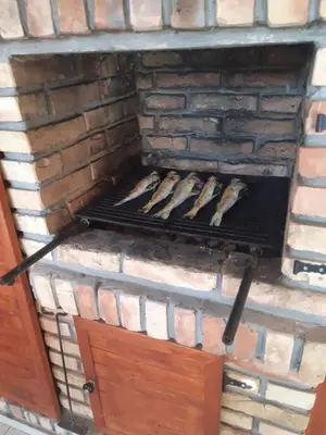 a brick oven with a bunch of meat on it at Seosko turističko domaćinstvo Tisa i Begej in Kni°anin