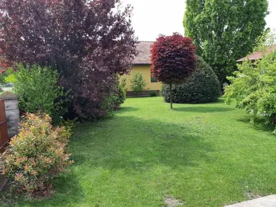 a yard with some bushes and a house at Seosko turističko domaćinstvo Tisa i Begej in Kni°anin