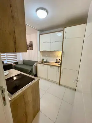 a small kitchen with a sink and a couch at Tiara Vracar Apartment in Belgrade