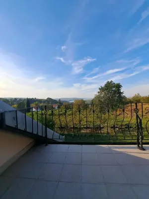 a balcony with a view of a vineyard at Ramonda house in Brestovik