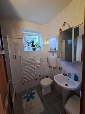 a bathroom with a sink and a toilet and a window at Ramonda house in Brestovik