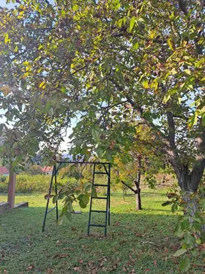 a swing set in a park under a tree at Ramonda house in Brestovik