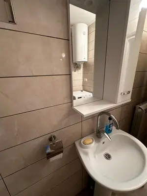 a bathroom with a sink and a mirror at petrov apartman in Belgrade