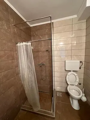 a bathroom with a shower and a toilet at petrov apartman in Belgrade