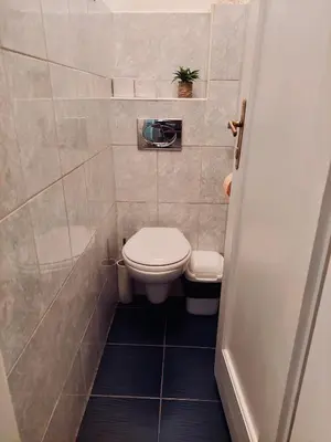a small bathroom with a toilet and a plant at Sweet House Kalemegdan in Belgrade