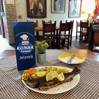 Gallery image of Hotel Konak Tammy Platičevo - Šabac in Šabac