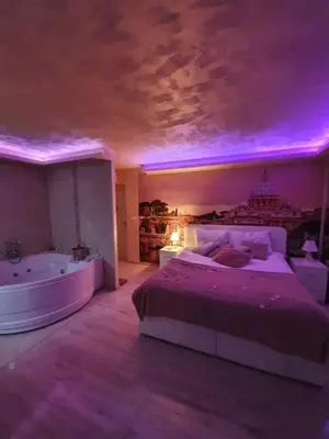 a bedroom with a large bed and a bath tub at Leona apartment in Zemun