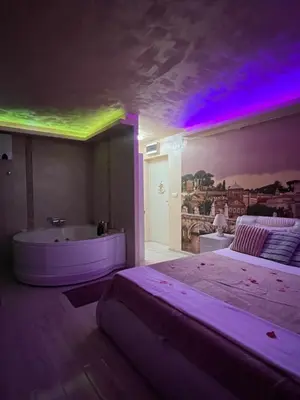 a bedroom with a large bed and a bath tub at Leona apartment in Zemun