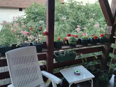 a white chair and a table and potted plants at Icy Apartment in Belgrade