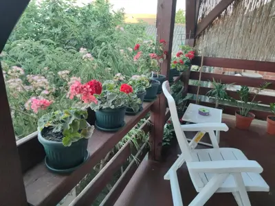 a balcony with a bunch of potted plants and chairs at Icy Apartment in Belgrade