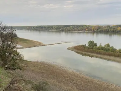 a view of a river with trees in the distance at Danube Oasis Stevantown 2 in Stari Banovci