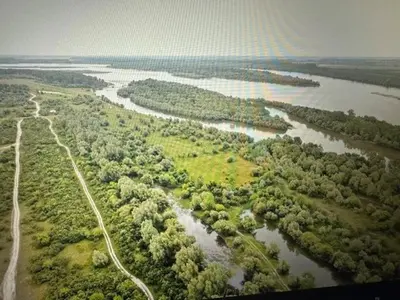 an aerial view of a river with trees at Danube Oasis Stevantown 2 in Stari Banovci