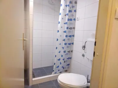 a bathroom with a toilet and a shower at Lea Beo in Belgrade
