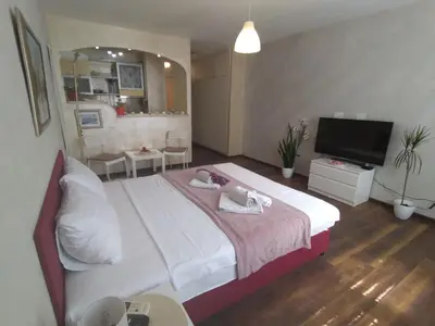 a bedroom with a large bed and a television at Lea Beo in Belgrade