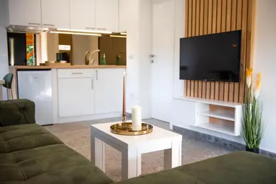 a living room with a couch and a tv at Uba Fruška gora in Velika Remeta