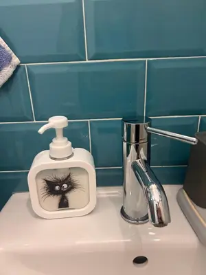 a bathroom sink with a cat soap dispenser on it at Sanja, Old Town in Belgrade