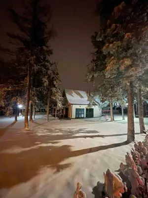 a snow covered yard with a building and trees at night at La Casa Sofija in Nemenikuće
