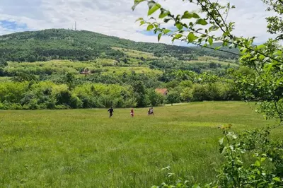 three people walking in a field with a hill in the background at La Casa Sofija in Nemenikuće
